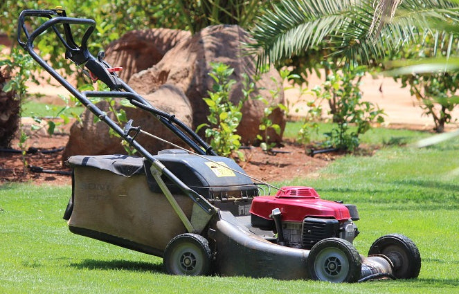 Lawnmower MX 3000